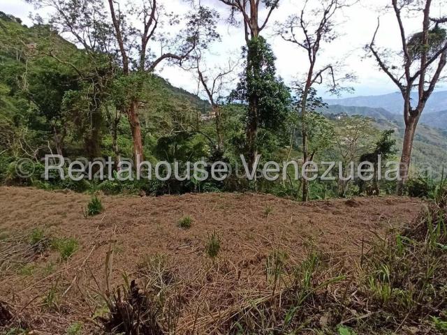 Propiedad en venta en Francisco Linares Alcántara, Miranda