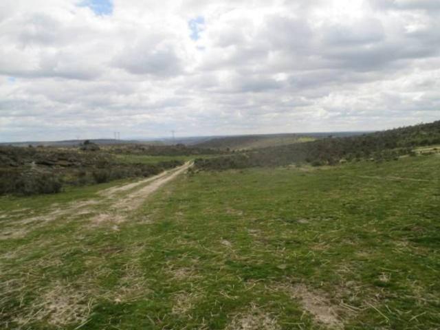 Terreno en venta en San Felices De Los Gallegos, Castilla y León