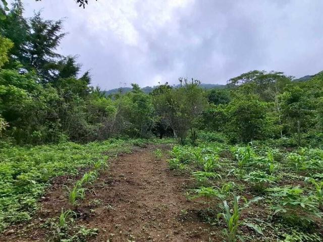 Terreno en venta en San Fernando, Chiapas