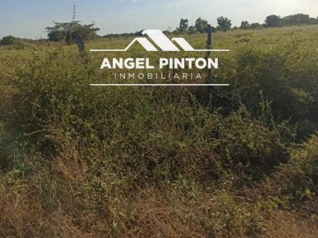 Terreno en venta en San Francisco, Zulia