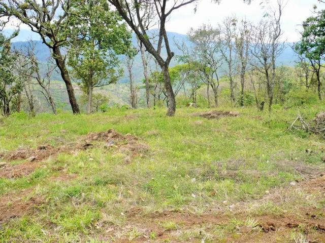 Terreno en venta en La Mina, San Juan Bautista Tuxtepec