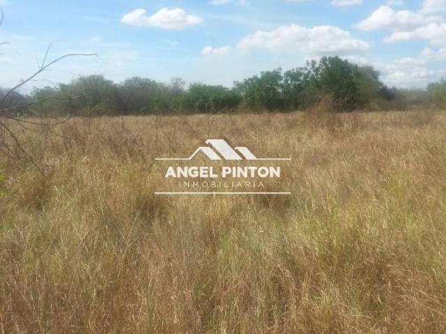 Terreno en venta en San Francisco, Zulia