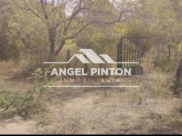 Terreno en venta en San Francisco, Zulia