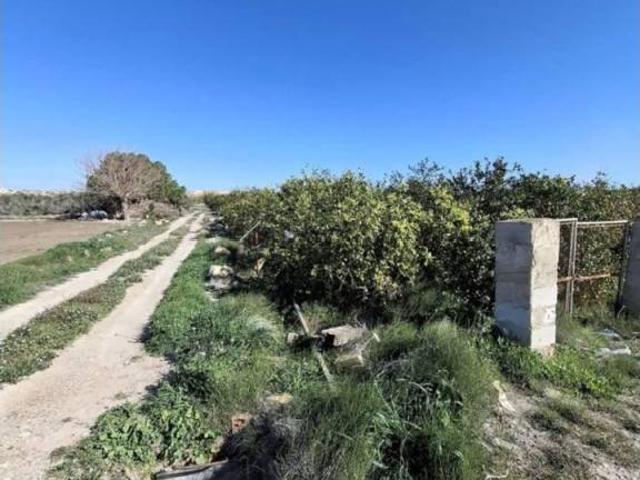 Terreno en venta en el Baix Segura / La Vega Baja, Valencia
