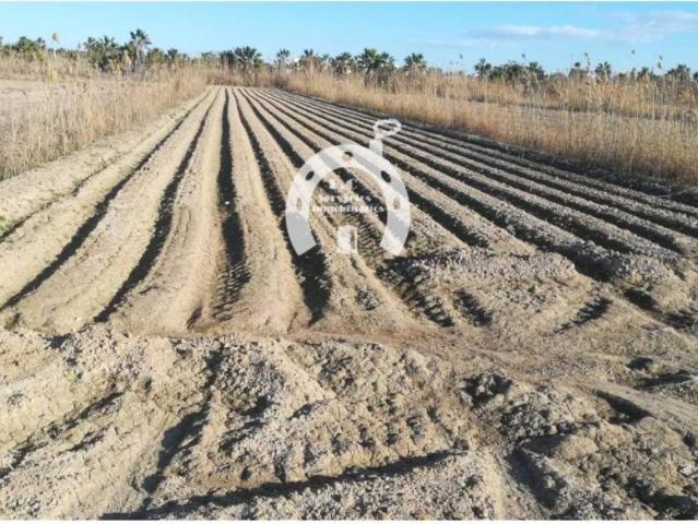 Terreno en venta en el Baix Segura / La Vega Baja, Valencia