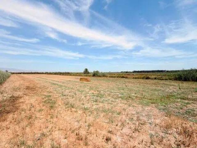 Terreno en venta en el Baix Segura / La Vega Baja, Valencia