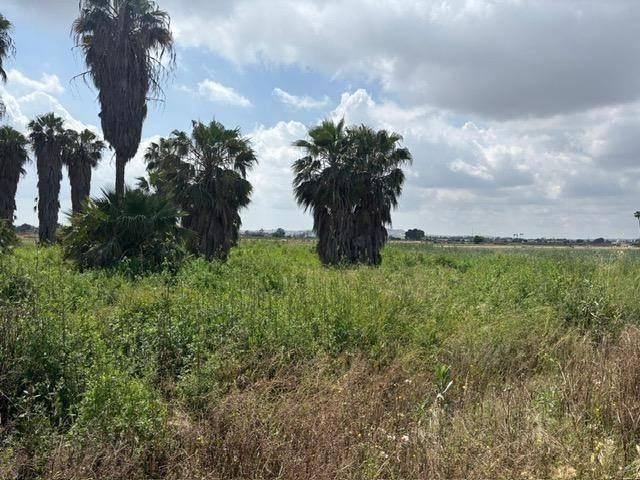 Terreno en venta en el Baix Segura / La Vega Baja, Valencia