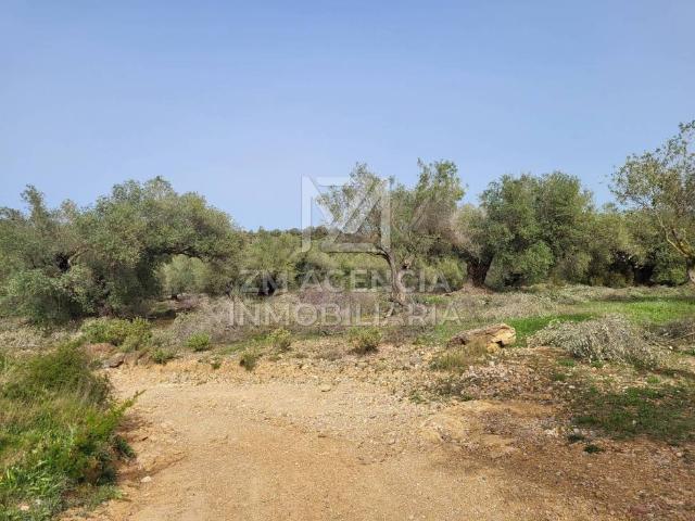 Terreno en venta en el Baix Maestrat, Valencia