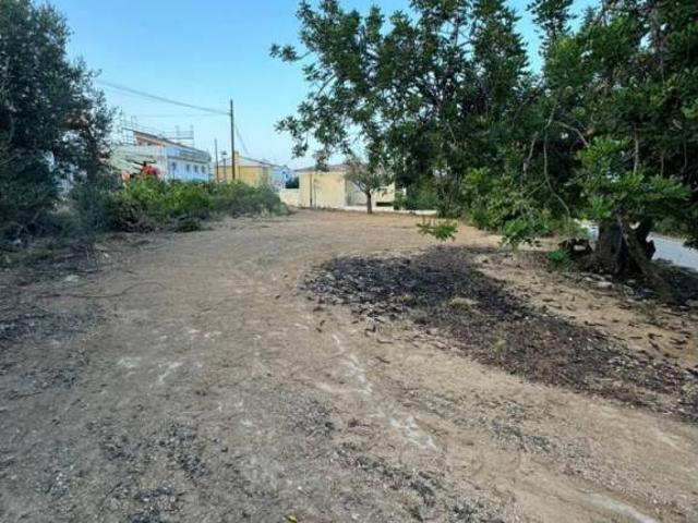 Terreno en venta en el Baix Maestrat, Valencia