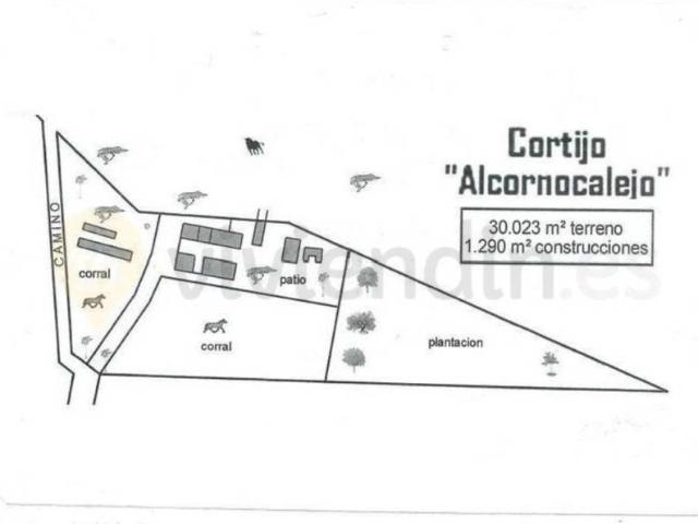 Terreno en venta en Campiña de Jerez, Andalucía