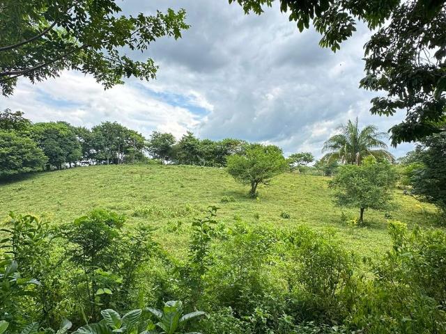 Terreno en venta en San Juan Bautista Tuxtepec, Oaxaca