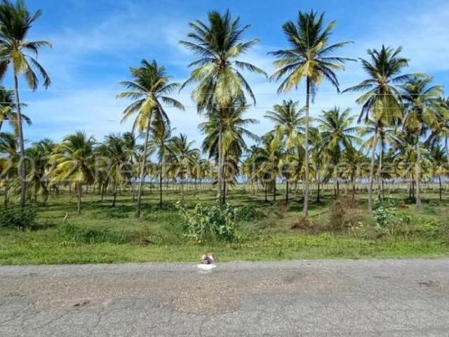 Terreno en venta en Sucre