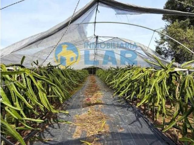 Terreno en venta en Comarca Metropolitana de Huelva, Andalucía