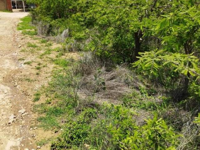 Terreno en venta en San Lorenzo Cacaotepec,Oaxaca