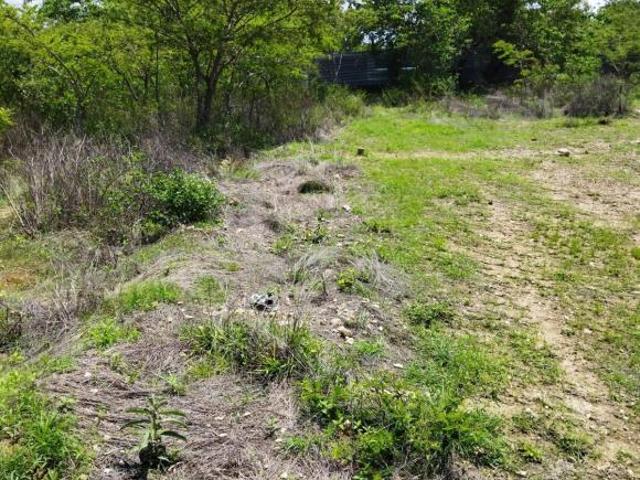 Terreno en venta en San Lorenzo Cacaotepec,Oaxaca