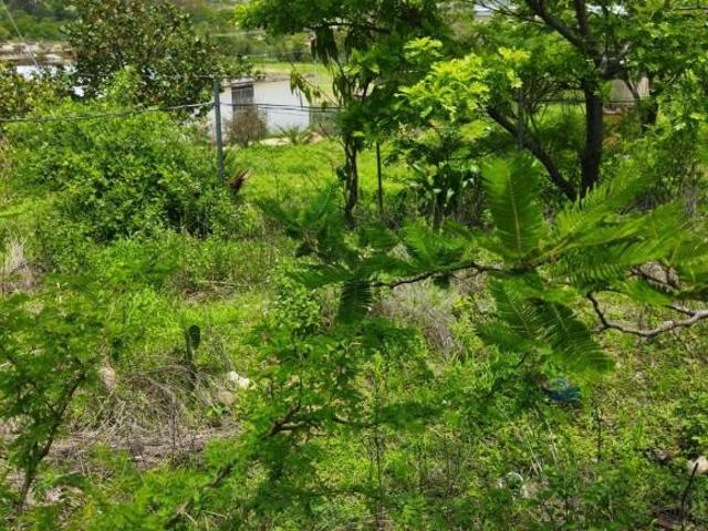 Terreno en venta en San Lorenzo Cacaotepec, Oaxaca