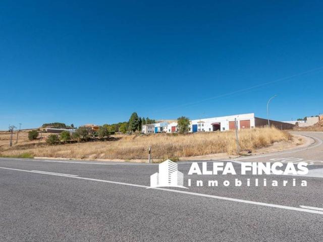Terreno en venta en San Lorenzo De La Parrilla