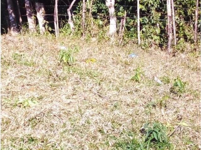 Terreno en venta en San Lucas Ojitlán, Oaxaca