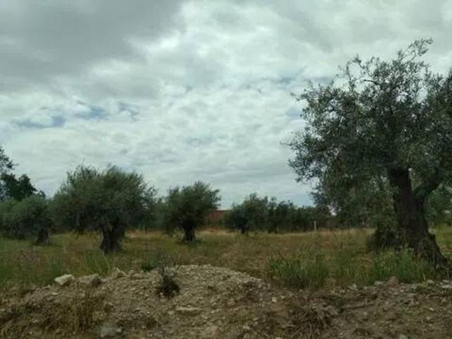Terreno en venta en San Martín De Montalbán, Castilla-La Mancha
