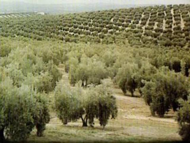 Terreno en venta en San Martín De Montalbán, Castilla-La Mancha