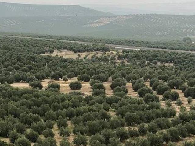 Terreno en venta en San Martín De Montalbán, Castilla-La Mancha