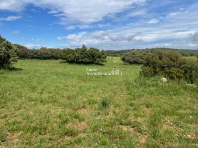 Terreno en venta en San Martín De Montalbán, Castilla-La Mancha