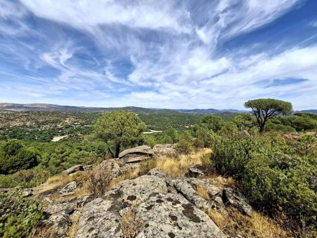 Terreno en venta en San Martín De Valdeiglesias, Madrid