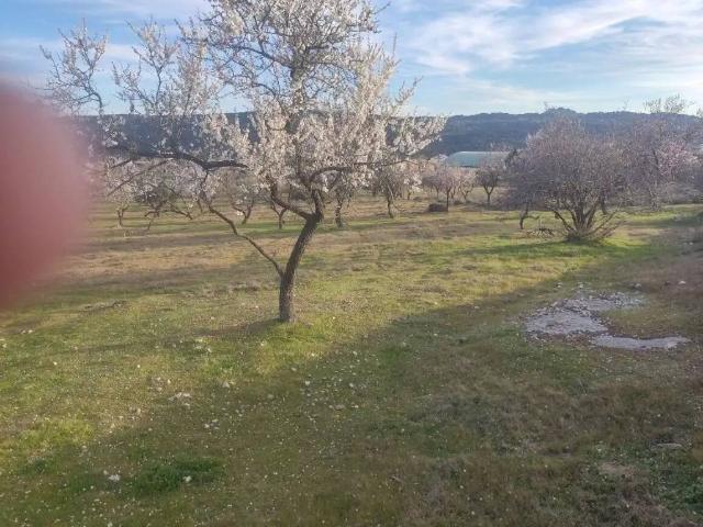 Terreno en venta en San Martín De Valdeiglesias, Madrid