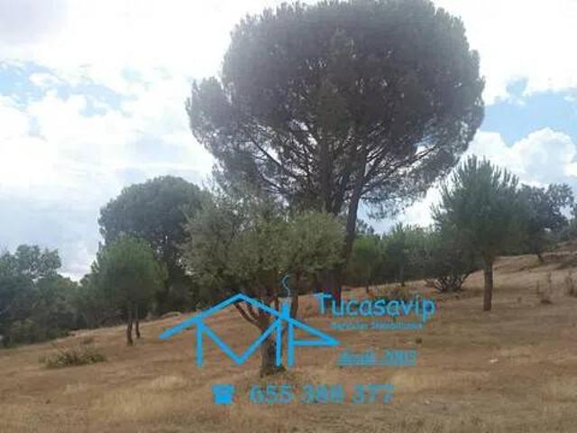Terreno en venta en San Martín De Valdeiglesias, Madrid