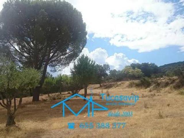 Terreno en venta en San Martín De Valdeiglesias, Madrid