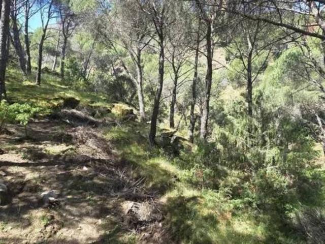 Terreno en venta en San Martín De Valdeiglesias, Madrid