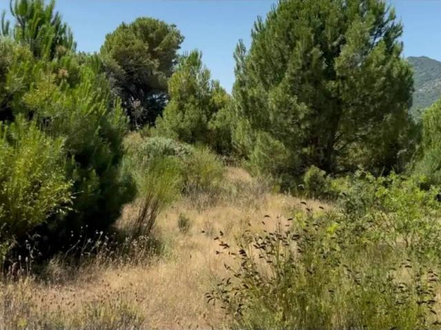 Terreno en venta en San Martín De Valdeiglesias, Madrid