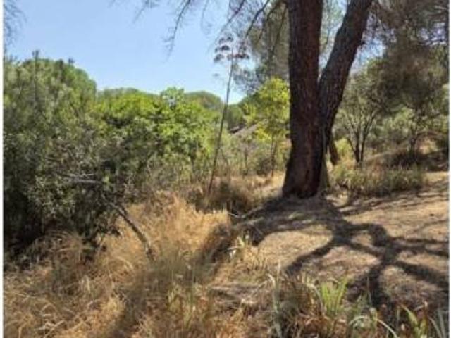 Terreno en venta en San Martín De Valdeiglesias, Madrid