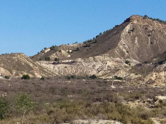 Terreno en venta en el Baix Segura / La Vega Baja, Valencia