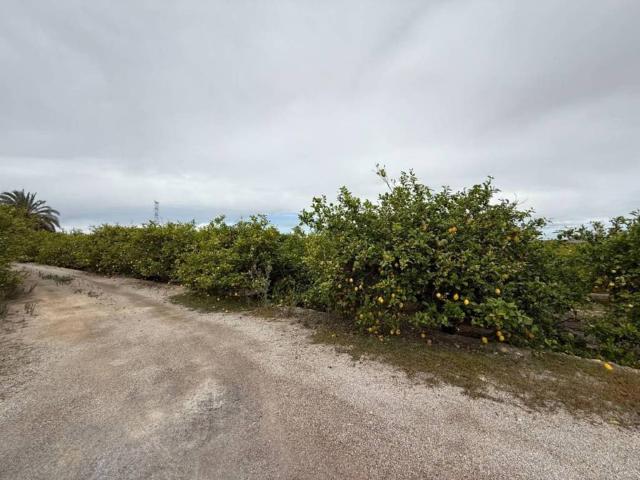 Terreno en venta en San Miguel de Salinas, Alacant / Alicante