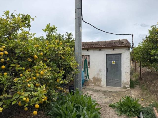 Terreno en venta en el Baix Segura / La Vega Baja, Valencia