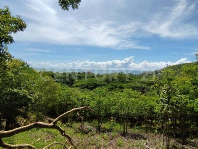 Terreno en venta en San Miguel del Puerto, Oaxaca