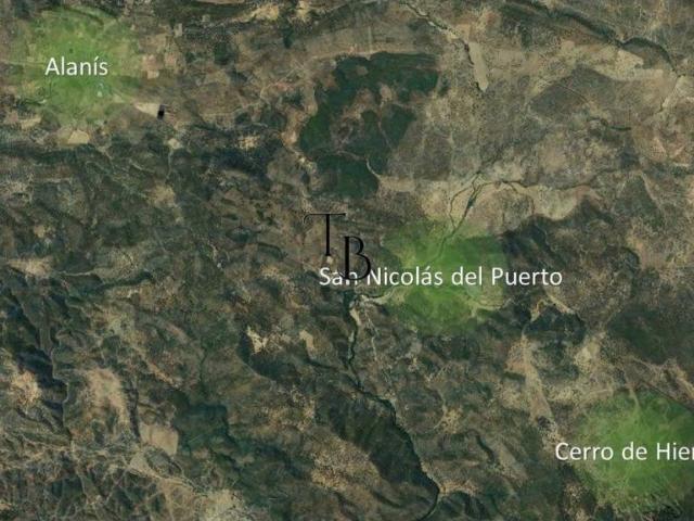 Terreno en venta en San Nicolás Del Puerto, Andalucía