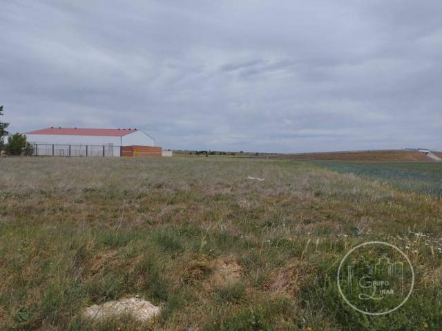 Terreno en venta en San Pedro Del Arroyo, Castilla y León