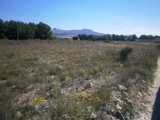 Terreno en venta en Monóvar