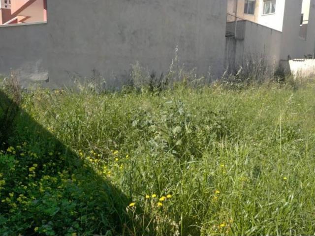 Terreno en venta en Campo de Cartagena y Mar Menor, Murcia