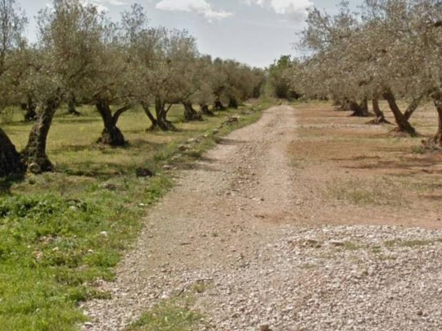 Casa Rural en venta en San Rafael Del Río