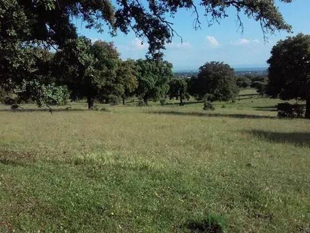 Terreno en venta en San Román De Los Montes, Castilla-La Mancha