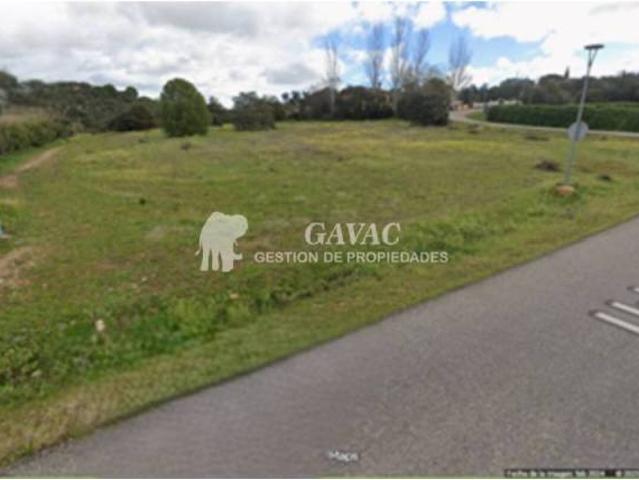 Terreno en venta en San Román De Los Montes, Castilla-La Mancha