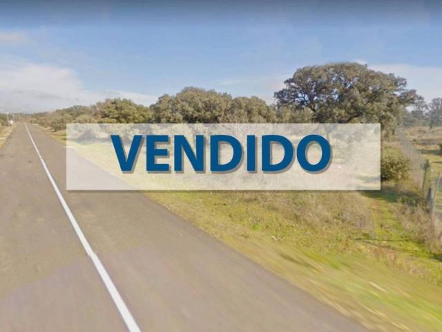 Terreno en venta en San Román De Los Montes, Reguerones