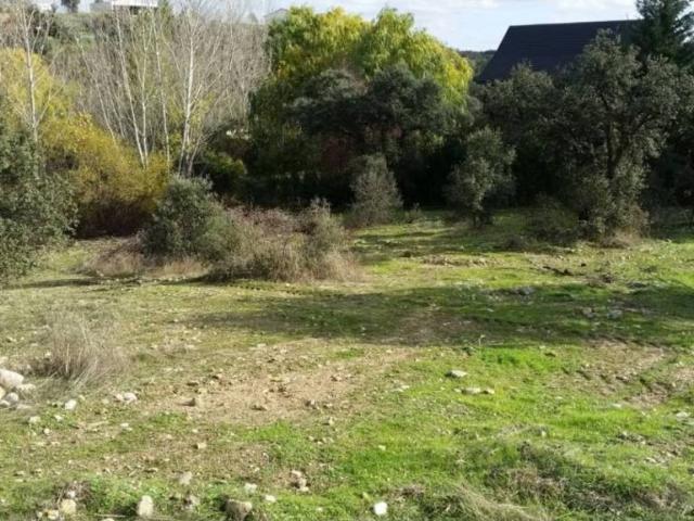 Terreno en venta en San Román De Los Montes