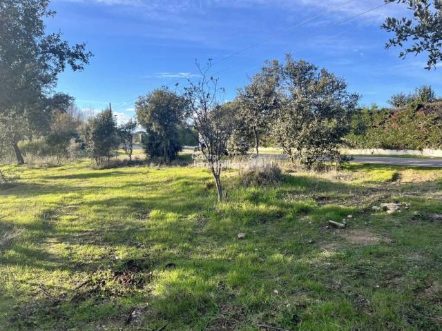 Terreno en venta en San Román De Los Montes, Castilla-La Mancha