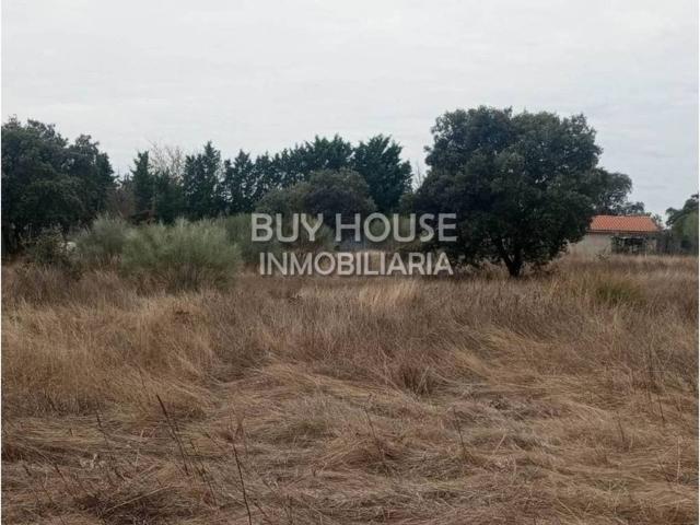 Terreno en venta en San Román De Los Montes, Castilla-La Mancha