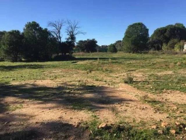 Terreno en venta en San Román De Los Montes, Castilla-La Mancha