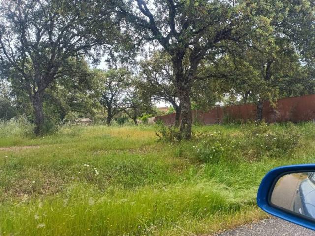 Terreno en venta en San Román De Los Montes, Castilla-La Mancha